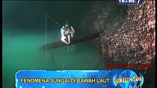 On The Spot  Fenomena Sungai di Bawah Laut [upl. by Einaffets366]