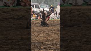 Ashi pinda wale a 855loverz farmer punjabi kabaddi kabaddimatch wrestling kustiwrestling [upl. by Idnahs]