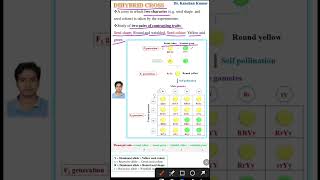 Dihybrid cross  Genetics class 12 [upl. by Eibbil]