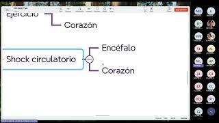 FISIOLOGIA FISIOPATOLOGIA  FASE 3  TEORIA 03  01 [upl. by Kenlay]