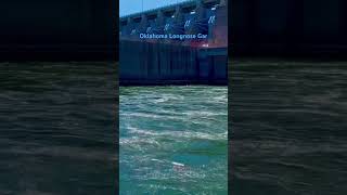 Oklahoma Longnose Gar Fish fish nativespecies gar oklahoma water dam subscribe [upl. by Brey]