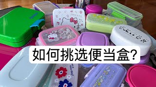 如何为美国小学生挑选最适合的便当盒？ [upl. by Nnek]