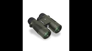 Vortex Optics Diamondback 10x42 Roof Prism Binocular Review [upl. by Winters]