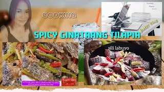 Cooking 15  Ginataang Tilapia with Kamatis and Talong I Jcel27 Vlog [upl. by Nikolos310]