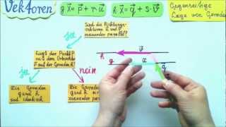 Vektorrechnung Gegenseitige Lage von Geraden Theorie und Praxis Teil 1 [upl. by Haridan763]