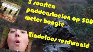 500 Meter Hoog Vijf Soorten Paddenstoelen en Eindeloos Verdwaald [upl. by Lissi]