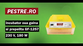 Montaj clocitoare oua gaina si prepelita GF1257 230 V 180 W [upl. by Nnaeed397]