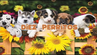 Diez perritos [upl. by Eerolam585]