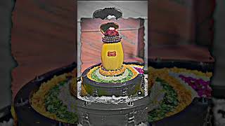 har har mahadev SHIV SHIV SHANKRA shorts ujjain ujjainmahadev mahadev mahakal shiv yt [upl. by Rodman]