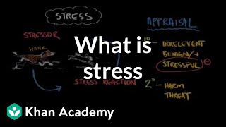 What is stress  Processing the Environment  MCAT  Khan Academy [upl. by Ahsirpac421]