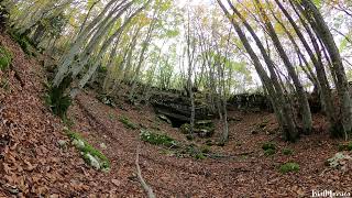 Il respiro del Bosco Sacro di Angitia ❤️ [upl. by Apfel]