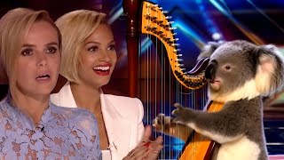 Unthinkable Koala’s Harp Performance on Got Talent 2024 is Pure Magic [upl. by Pat]