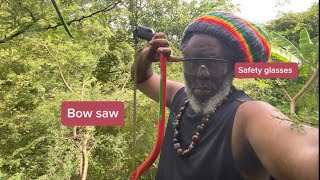 How to use a 21 inch bow saw to cut a tree diy  safety glasses [upl. by Eocsor]