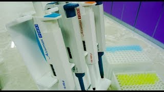 How to use pipette correctly – a short stepbystep introduction into proper pipetting [upl. by Nennek]