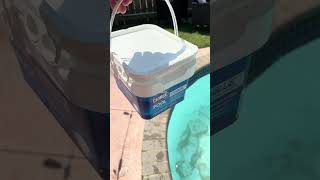 Are Clorox Chlorinating Tablets the BEST Solution for Pool Maintenance [upl. by Grieve]