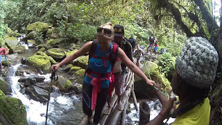 A stroke survivor walking the Kokoda track with his brother sisterinlaw and mate [upl. by Bevash2]