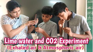 Lime water and CO2 Experiment  Class10th Biology  Life Process  NCERT class 10th Activity [upl. by Britteny392]