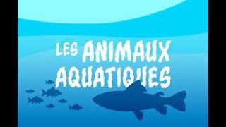 les animaux aquatiques [upl. by Glantz]