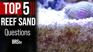 Live Sand amp Your Reef TankWhat You NEED to Know [upl. by Solis]