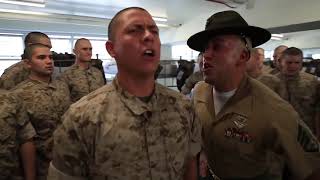 Marine Drill Instructors DESTROYING Recruits [upl. by Karoline992]