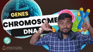 Basics of Genetics Genes Chromosomes and DNA Explained  The Biology Guru 🌱🔬 [upl. by Rebekah]