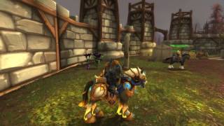 Highlords Golden Charger  Paladin All specs [upl. by Nnyrat81]