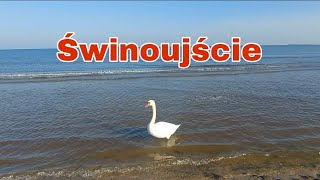 Swinoujscie 103 Polska 👍 Spacer po promenadzie i plaży [upl. by Tabb69]