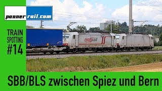 Trainspotting 14 SBBBLS Eisenbahnverkehr zwischen Spiez und Bern [upl. by Trumann]