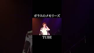 ガラスのメモリーズ  TUBE【歌ってみた】 shorts [upl. by Yulma820]