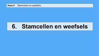 6 Stamcellen en weefsels [upl. by Nyvlem]