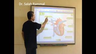 ETAC  How to use smart board No4 Dr Salah Rammal [upl. by Atinus]