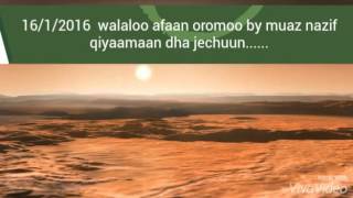 Walaloo afaan oromoo by muaz nazif qiyaamaan [upl. by Imorej805]