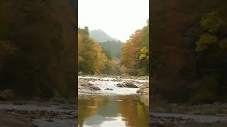 Autumn river sounds autumn river [upl. by Sammons262]