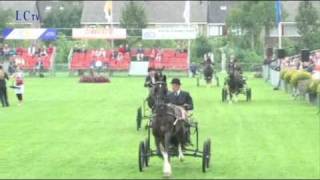 Concours hippique Buitenpost sport cultuur en traditie [upl. by Ikik49]