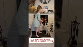 POV WANNEER JE HOND HAAR SCHOEN MAG ZETTEN [upl. by Eilegna]