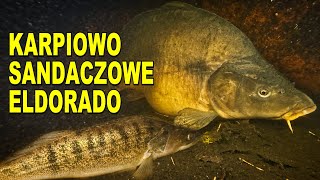 NURKOWANIE 18102024 JEZIORO DŁUGIE [upl. by Feldt395]