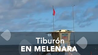 Cierran la playa de Melenara por el avistamiento de un tiburón [upl. by Sabina963]