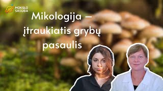 Mikologija  įtraukiantis grybų pasaulis  „Mokslo sriubos“ tinklalaidė [upl. by Miharbi]