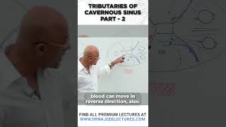 Tributaries Of Cavernous Sinus Part 02 drnajeeb drnajeeblectures shortvideo youtubeshorts [upl. by Iggep274]