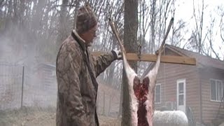 Field Dressing Skinning Butchering Large Game  Deer Excerpt [upl. by Groveman]