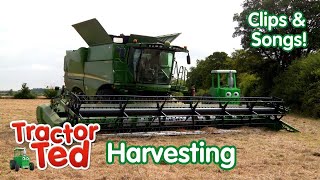 The GIGANTIC Combine Harvester amp Other Harvesting Machines 🚜🌾 Tractor Ted Clips amp Songs [upl. by Deeanne]