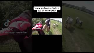 stallion attacking mare on a hack 😱🐴 equestrain shortvideos youtube viral [upl. by Onofredo]