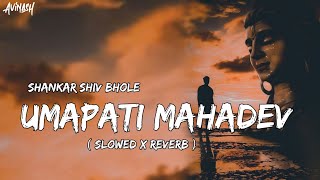 Shankar Shiv Bhole Umapati Mahadev  Slowed x Reverb  Remix  Lofi Mix [upl. by Meit]