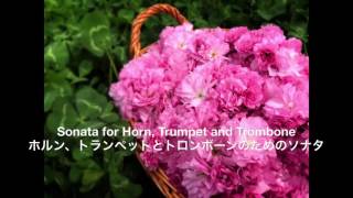 Sonata for Horn Trumpet and Trombone  Francis Jean Marcel Poulenc（ソナタ：フランシス・プーランク） [upl. by Rupert]