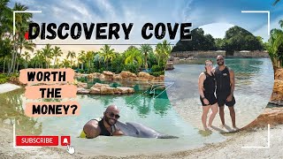 Discovery Cove  Would we do it again EXPENSIVE  But Fun [upl. by Ikim]