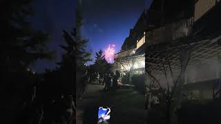 OWEGO NY STRAYBERRY 2024 FIREWORKS SHOW [upl. by Anitniuq]