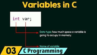 Introduction to Variables [upl. by Ahsirtap459]