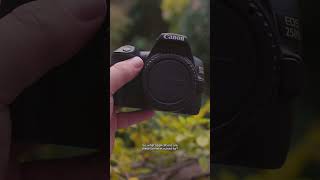 Which Is Better Canon 250D vs Canon 77D [upl. by Zingg]