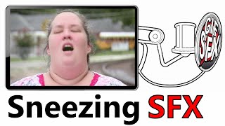 Sneeze Sound Effects  Sneezing SFX [upl. by Gelhar]