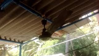 1993s Orient Deluxe 1400mm ceiling fan after serviced [upl. by Sixela]